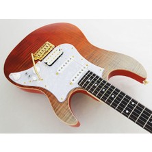 Fujigen Odyssey Elektro Gitar Eosfmrrkg