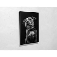 Tablo 360 Buldog Kanvas Tablo