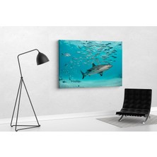 Tablo 360 Köpekbalığı Kanvas Tablo