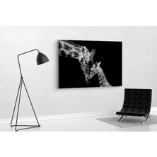 Tablo 360 Zürafa ve Yavrusu Kanvas Tablo