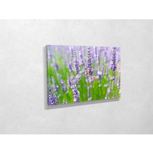 Tablo 360 Kır Çicekleri Kanvas Tablo