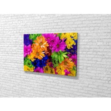 Tablo 360 Renkli Kasımpatılar Kanvas Tablo