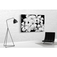 Tablo 360 Plumeria Çiceği Kanvas Tablo