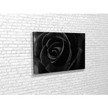 Tablo 360 Siyah Gül Kanvas Tablo