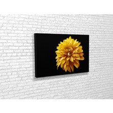 Tablo 360 Yıldız Çiceği Kanvas Tablo