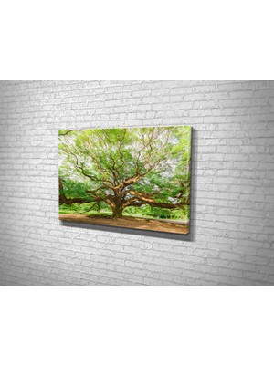 Tablo 360 Melek Meşesi Kanvas Tablo