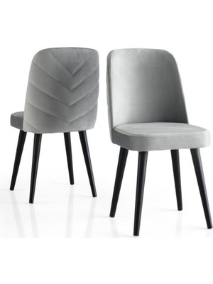 Erezoğulları Mobilya  Modern Yemek Odası Mutfak Sandalyesi Venedik 2'li Set