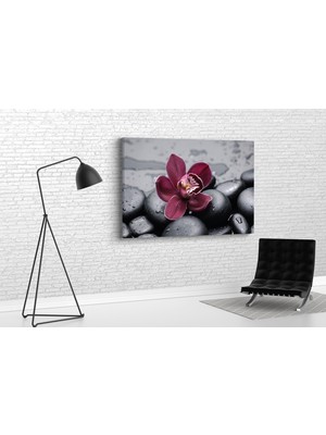 Tablo 360 Orkideler Kanvas Tablo