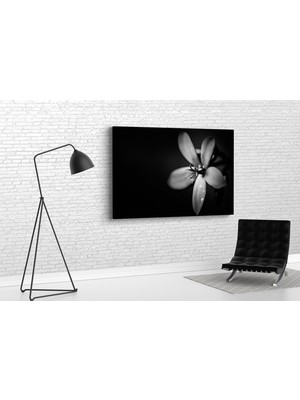 Tablo 360 Siyah Beyaz Çicek Kanvas Tablo