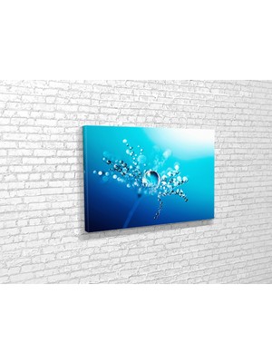 Tablo 360 Karahindiba Su Damlaları Kanvas Tablo