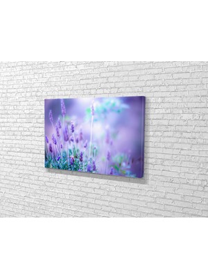 Tablo 360 Kır Çicekleri Kanvas Tablo