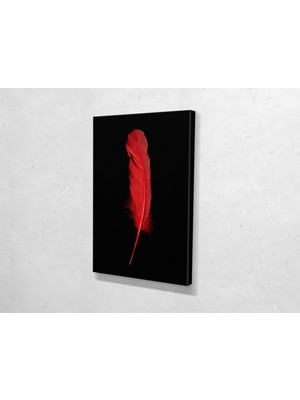 Tablo 360 Kızıl Tüy Kanvas Tablo