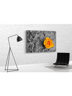 Tablo 360 Güller Kanvas Tablo