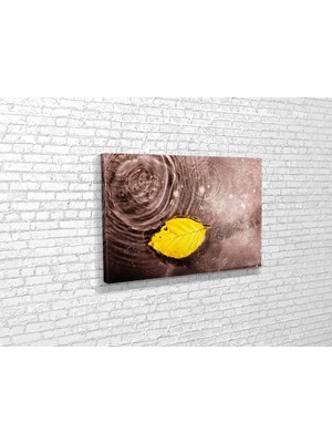 Tablo 360 Yağmur Altında Yaprak Kanvas Tablo