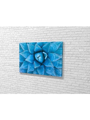 Tablo 360 Mavi Agave Kanvas Tablo