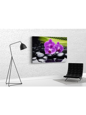 Tablo 360 Orkide Kanvas Tablo