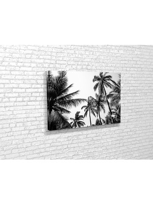 Tablo 360 Palmiye Ağaçları Kanvas Tablo