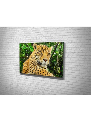 Tablo 360 Leopar Kanvas Tablo