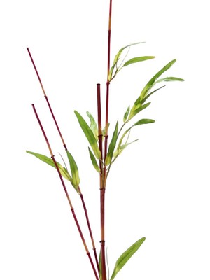 Gardenonya Dekoratif Bambu Saz Dalı Kırmızı Yapay Çiçek