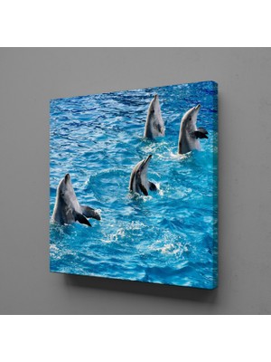 Technopa Yunus Balıklar 100 x 100 cm Tablo