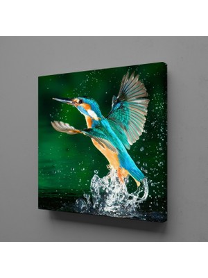 Technopa Renkli Kuş 90 x 90 cm Tablo