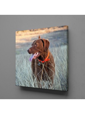 Technopa Kahverengi Köpek 30 x 30 cm Tablo
