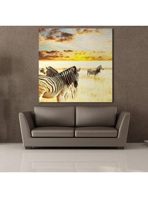 Technopa Zebra 110 x 110 cm