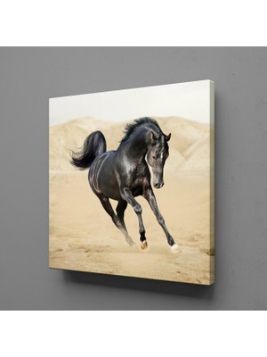 Technopa Koşan Siyah At 110 x 110 cm