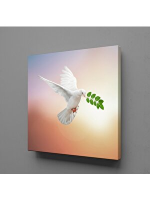 Technopa Beyaz Güvercin 30 x 30 cm