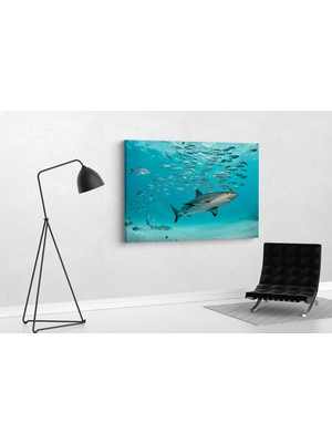 Tablo 360 Köpekbalığı Kanvas Tablo