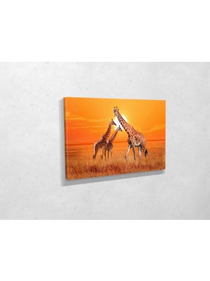 Tablo 360 Zürafalar Kanvas Tablo