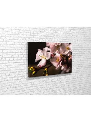 Tablo 360 Orman Gülü Kanvas Tablo