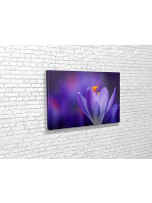 Tablo 360 Çiğdem Kanvas Tablo