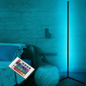 Alfonso Metal Dekoratif Minimalist Led Lambader  Animasyonlu Kumandalı Renkli Köşe Lambası
