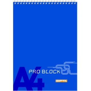 Pro Block Spiralli Karton Kapaklı Bloknot A4 40 Yaprak Kareli