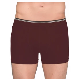 1097 Erkek Likralı Esnek Boxer