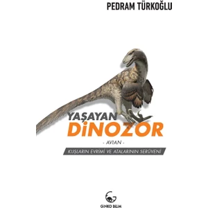 Yaşayan Dinozor- Avian- Kuşların Evrimi ve Atalarının Serüveni - Pedram Türkoğlu