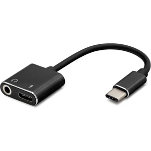 HDX1009 Type-C To Aux/type-C Çevirici