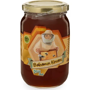 BABAMIN KOVANI Süzme Çam Balı 460GR