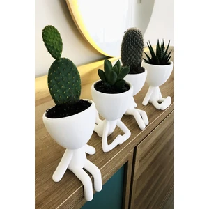 4'lü Saksı Seti