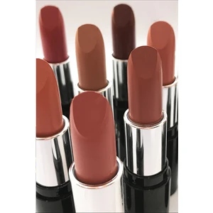 Nude Lipstick Ruj 534