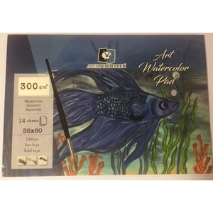 Alex Schoeller Watercolor Pad 35 x 50 cm 12SF 300 gr
