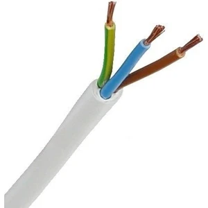 3x1.5 Ttr Topraklı Kablo Tam Bakır Kablo Beyaz 5 Metre
