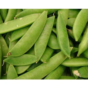 Yaprak Bezelye Tohumu 50 Adet