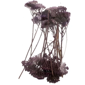 Mk Model Naturel Şemsiye Ağaç 1:50 Mor