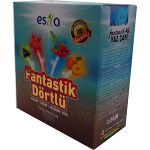 Fantastik Dörtlü Bitkisel Yaz Çayı 45 Süzen Poşet