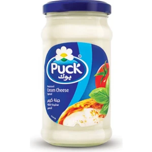 Processed Cream Cheese Spread 240 gr
