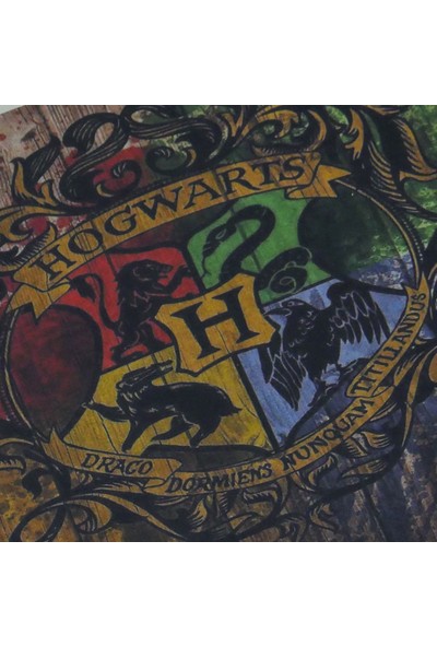 My Floor Myfloor Hogwarts Harry Potter Temalı Kauçuk Kapı Önü Paspası