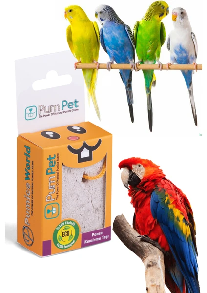 Pumice World Pum Pet Gaga Taşı, Muhabbet Kuşu Gaga Taşı