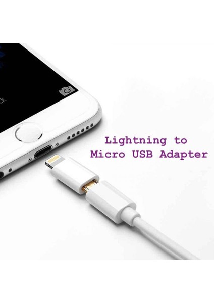 I-Stone Lightning Micro USB Çevirici Aparat Silver